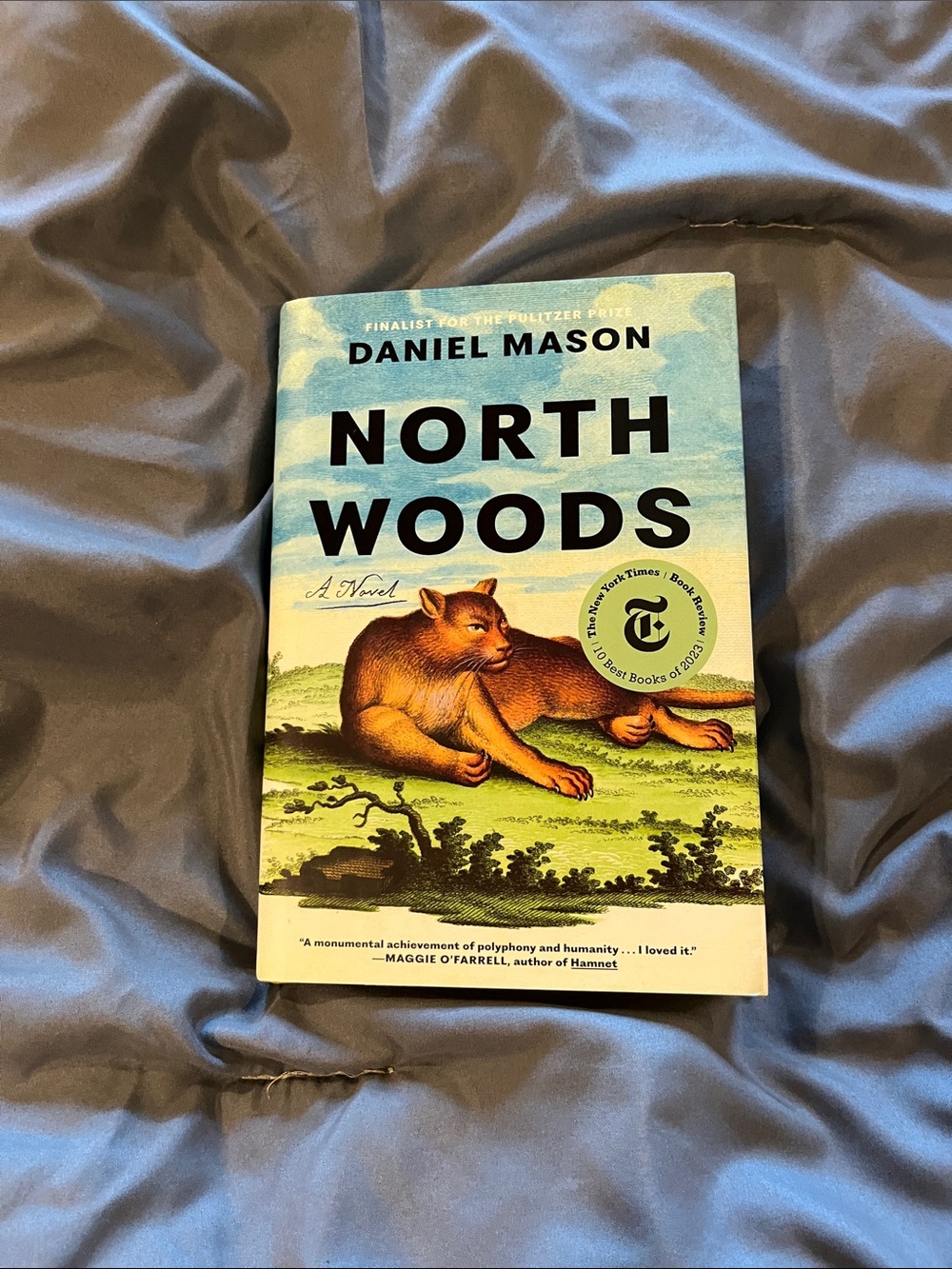 North Woods by Daniel Mason hardback with book jacket, like new condition